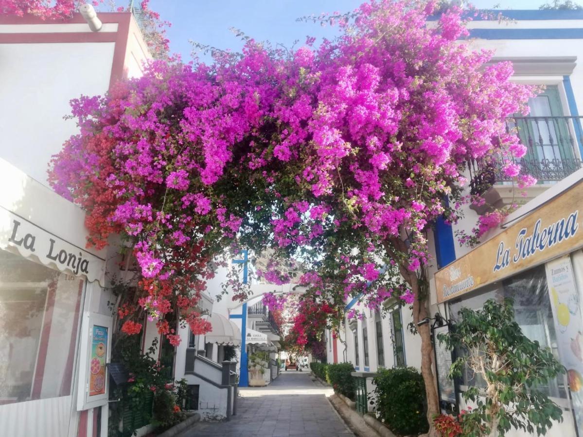 Pension Playa Puerto De Mogan Dış mekan fotoğraf